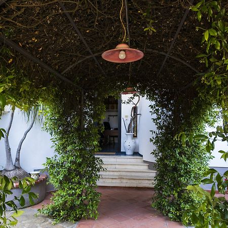 Villa Gio B&B De Charme モンテコーリチェ エクステリア 写真
